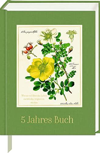 Chronik: 5 JahresBuch - Sammlung Augustina