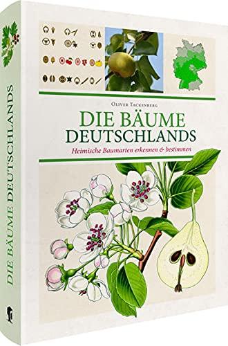 Die Bäume Deutschlands: Heimische Baumarten erkennen & bestimmen