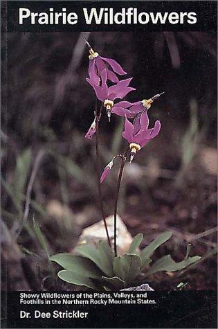 Prairie Wildflowers