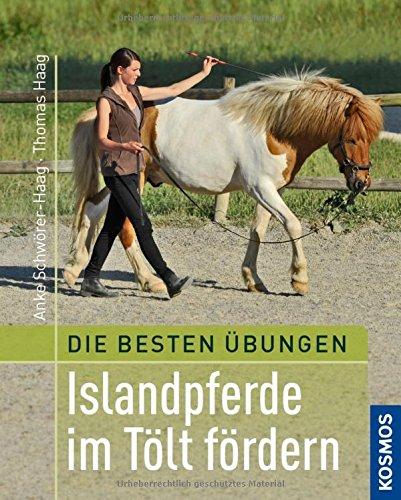 Beste Übungen: Islandpferde im Tölt fördern