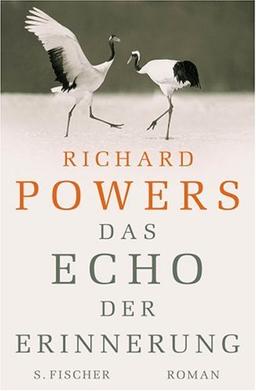 Das Echo der Erinnerung: Roman