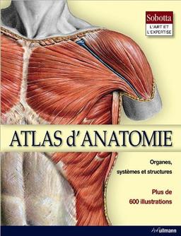 Atlas d'anatomie : organes, systèmes et structures