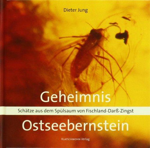 Geheimnis Ostseebernstein: Schätze aus dem Spülsaum von Fischland-Darß-Zingst