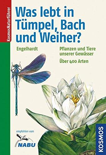 Was lebt in Tümpel, Bach und Weiher?: Pflanzen und Tiere unserer Gewässer