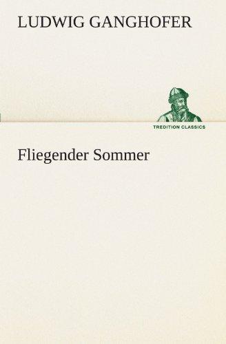 Fliegender Sommer (TREDITION CLASSICS)