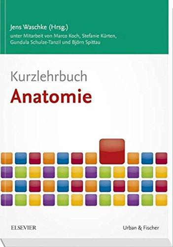 Kurzlehrbuch Anatomie