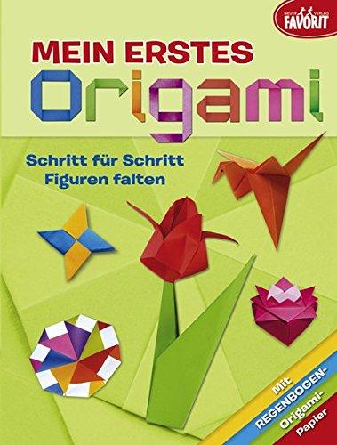 Mein erstes Origami: Schritt für Schritt Figuren falten