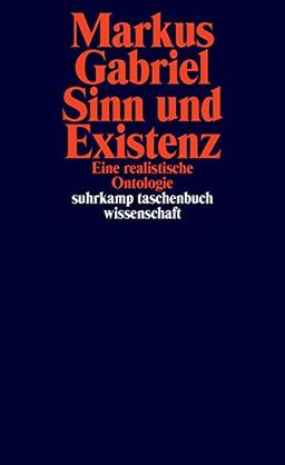 Sinn und Existenz: Eine realistische Ontologie (suhrkamp taschenbuch wissenschaft)