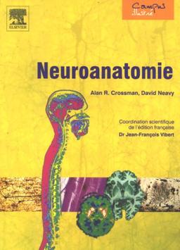 Neuroanatomie