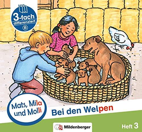 Mats, Mila und Molli – Heft 3: Bei den Welpen - Schwierigkeitsstufe B: Eine Geschichte in drei Schwierigkeitsstufen für Erstleser