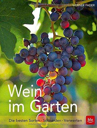 Wein im Garten: Die besten Sorten - Schneiden - Verwerten