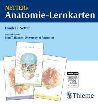 Netters Anatomie-Lernkarten (Korr. Neuausgabe). Das Lern-Tool für Prüfung und Präp-Kurs