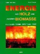 Energie aus Holz und anderer Biomasse: Grundlagen, Technik, Emissionen, Wirtschaftlichkeit, Entsorgung, Recht