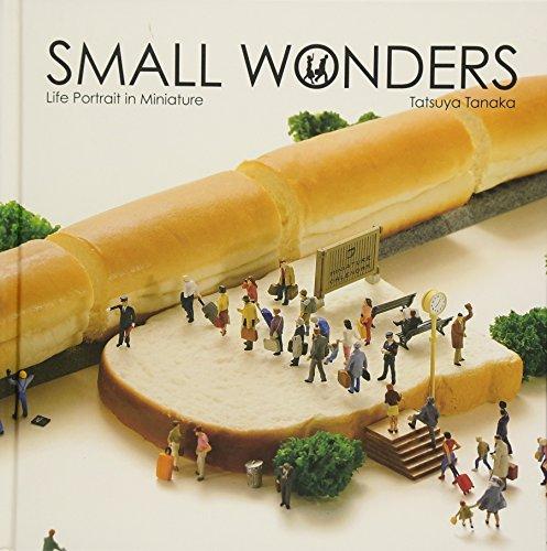 Tatsuya Tanaka Small Wonders Life Portrait in Miniature