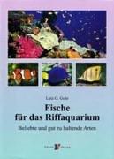 Fische für das Riffaquarium. Beliebte und gut zu haltende Arten