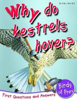 Why do Kestrels Hover?