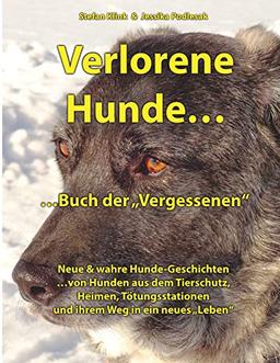 Verlorene Hunde...Buch der Vergessenen: Neue & wahre Hunde-Geschichten / Band 2