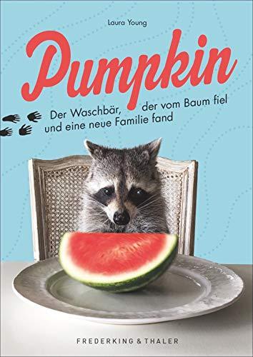 Pumpkin. Der Waschbär, der vom Baum fiel und eine neue Familie fand. Ein bezauberndes Geschenkbuch über den Instagram-Star und eine berührende Freundschaft.