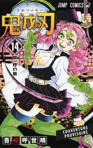 Demon slayer : Kimetsu no yaiba. Vol. 14