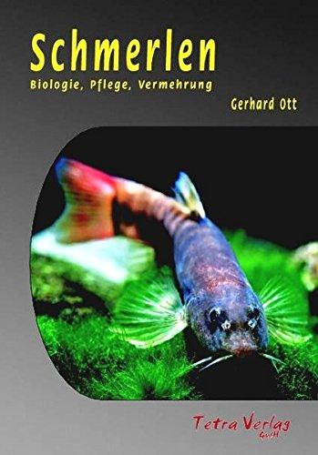 Schmerlen (Biologie, Pflege, Vermehrung)