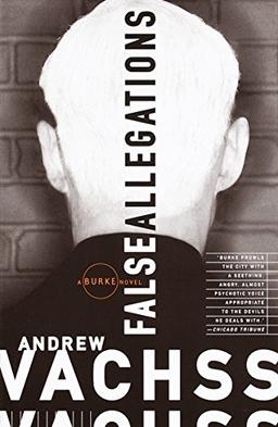 False Allegations: A Burke Novel (Burke Series, Band 9)