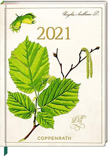 Mein Jahr 2021 - Haselnuss (Sammlung Augustina) (Jahreskalender)