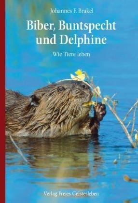 Biber, Buntspecht und Delphine: Wie Tiere leben