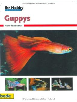 Guppys, Ihr Hobby