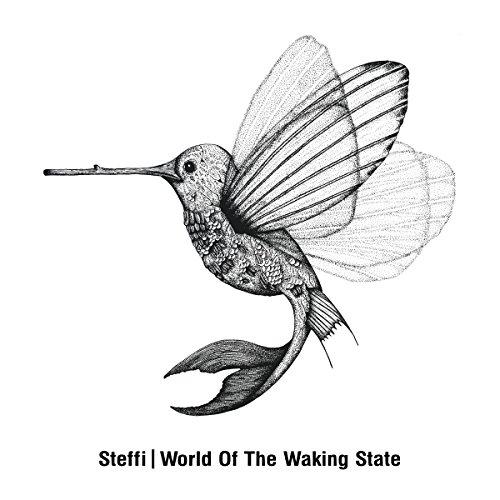 World of the Waking State