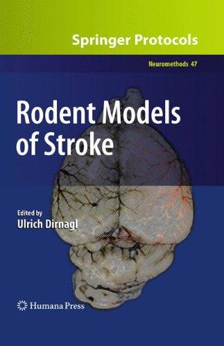 Rodent Models of Stroke (Neuromethods, Band 47)