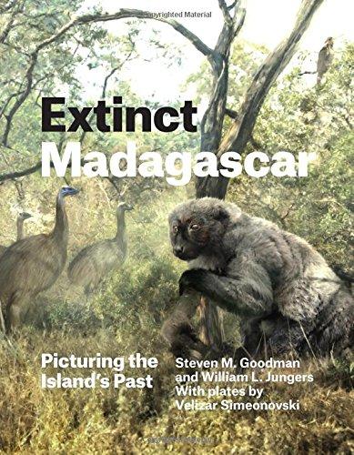 Extinct Madagascar: Picturing the Island's Past