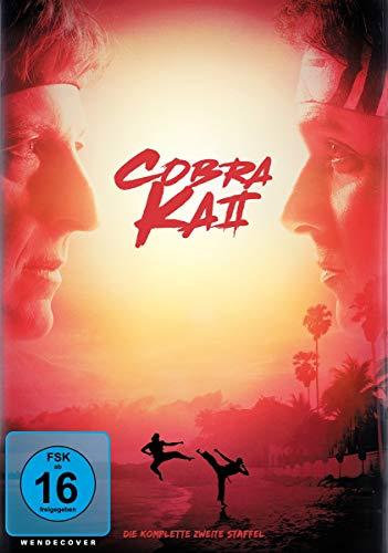 Cobra Kai - Die komplette zweite Staffel [2 DVDs]