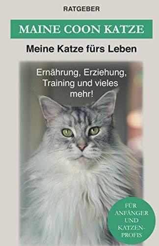 Maine Coon: Maine Coon Katze Ratgeber - Erziehung, Ernährung und Pflege (Katzenrassen)