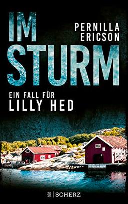 Im Sturm: Ein Fall für Lilly Hed | Blitzender Hass: Die Vier-Elemente-Krimireihe aus Schweden 2