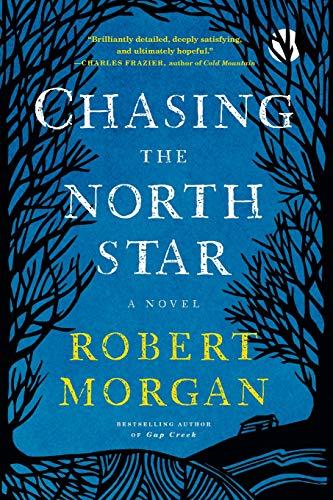 Chasing the North Star: A Novel