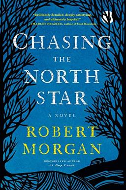 Chasing the North Star: A Novel