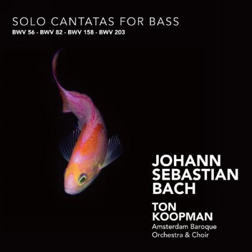 SOLO CANTATAS FOR BASS