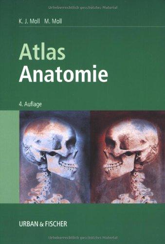 Atlas Anatomie