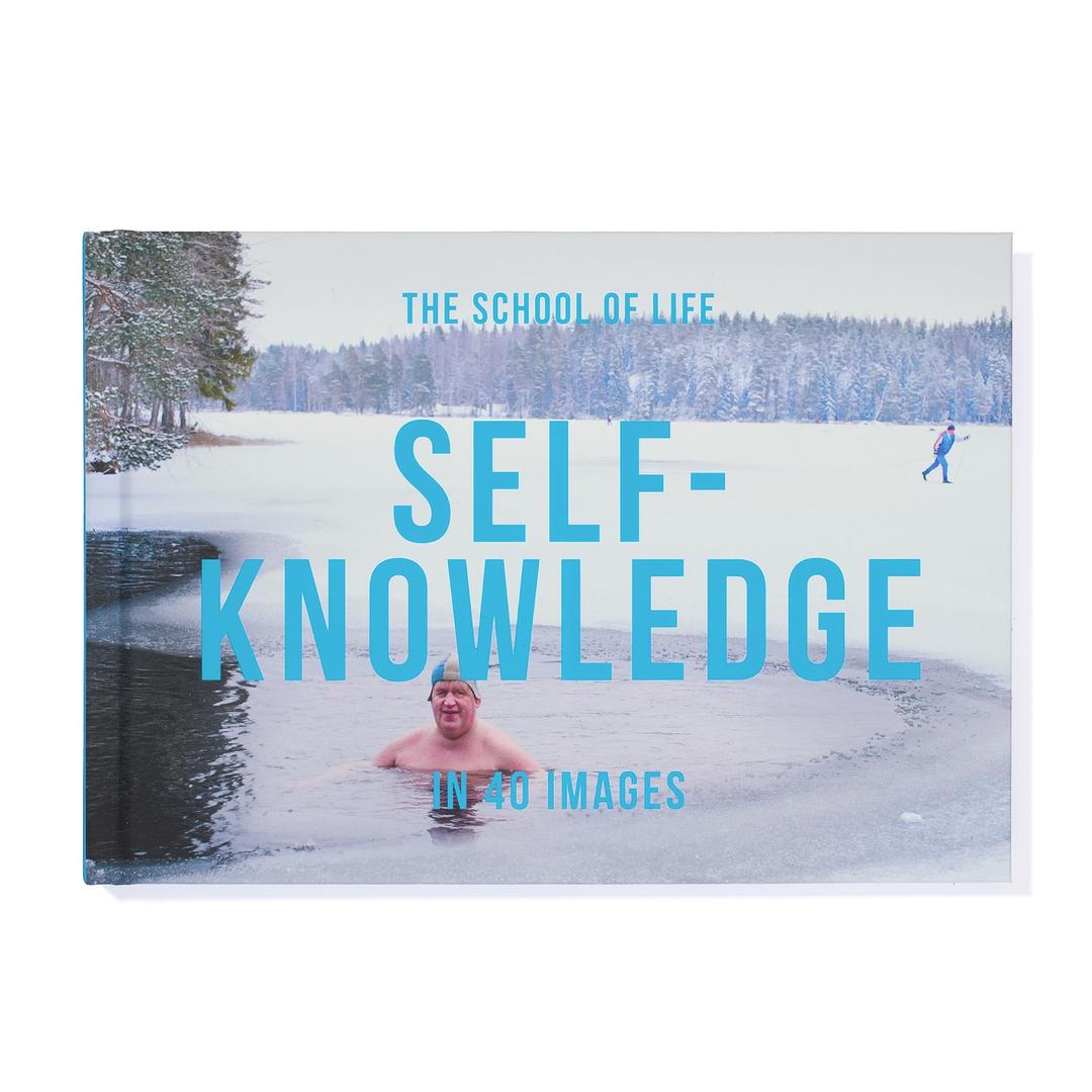 Self-Knowledge in 40 Images: The Art of Self-Understanding (40 Images, 2)