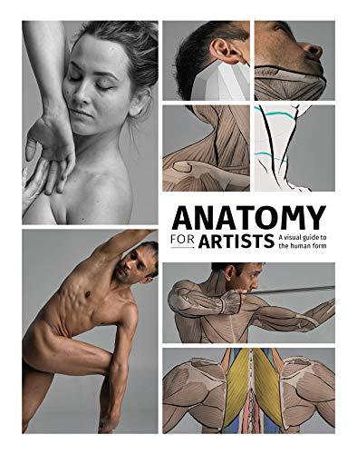 Anatomy for Artists: A visual guide to the human form (3d Total Pub)