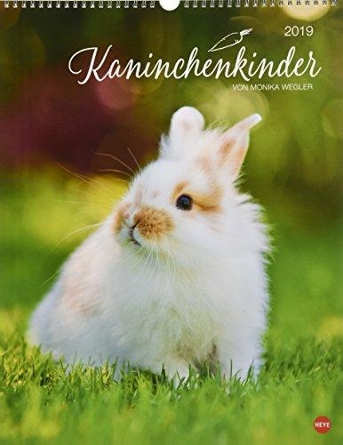 Kaninchenkinder Posterkalender - Kalender 2019