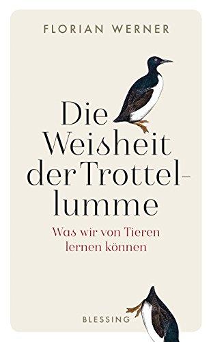 Die Weisheit der Trottellumme: Was wir von Tieren lernen können