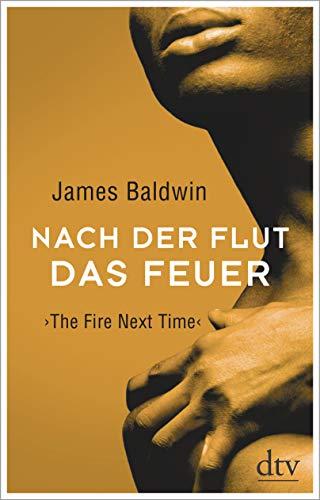 Nach der Flut das Feuer: The Fire Next Time