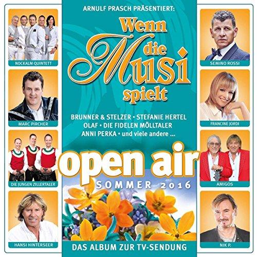 Wenn Die Musi Spielt-Sommer Open Air 2016