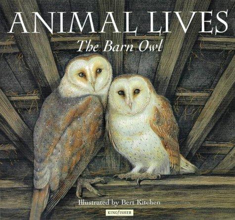 Barn Owl (Animal Lives)