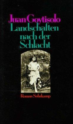 Landschaften nach der Schlacht: Roman