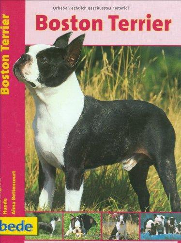 Boston Terrier, Praxisratgeber