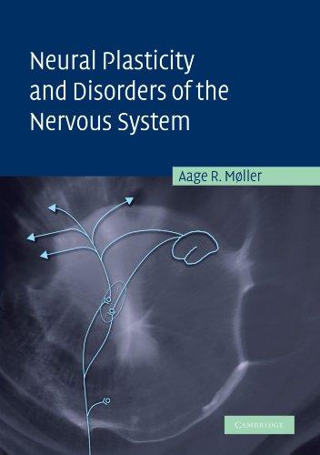 Neural Plasticity and Disorders of the Nervous System