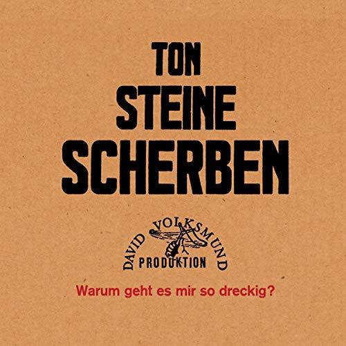 Warum Geht Es Mir So Dreckig? [Vinyl LP]