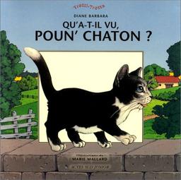 Qu'est-ce qu'il a vu, Poun'Chaton ?